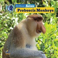 Produktbild: All about Asian Proboscis Monkeys