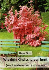Produktbild: Wie dein Kind scherzen lernt