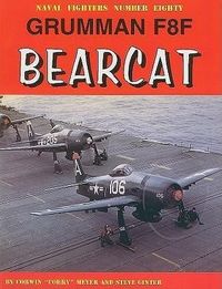 Bild vom Artikel Grumman F8F Bearcat vom Autor Steve Ginter