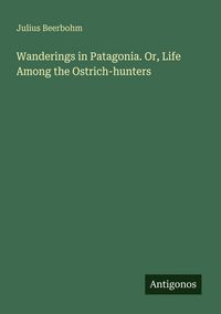 Produktbild: Wanderings in Patagonia. Or, Life Among the Ostrich-hunters