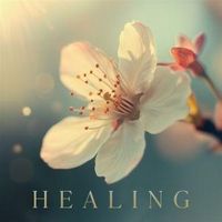 Produktbild: Healing