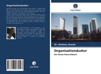 Produktbild: Organisationskultur