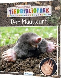 Produktbild: Meine gro&szlig;e Tierbibliothek: Der Maulwurf