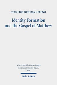 Produktbild: Identity Formation and the Gospel of Matthew