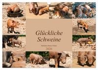 Produktbild: Gl&uuml;ckliche Schweine Berkshire-Iberico Ferkel (Wandkalender 2026 DIN A3 quer), CALVENDO Monatskalender