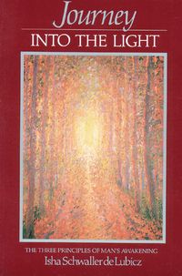 Produktbild: Journey Into the Light