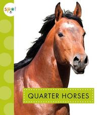 Produktbild: Quarter Horses