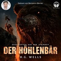 Produktbild: Geschichte aus der Steinzeit