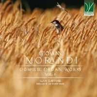 Produktbild: Complete Organ Works Vol.6