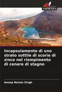 Produktbild: Incapsulamento di uno strato sottile di scorie di zinco nel riempimento di cenere di stagno