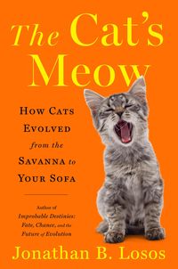 Bild vom Artikel The Cat's Meow: How Cats Evolved from the Savanna to Your Sofa vom Autor Jonathan B. Losos