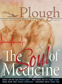 Produktbild: Plough Quarterly No. 17- The Soul of Medicine