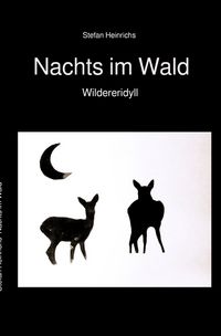 Produktbild: Nachts im Wald