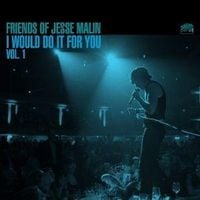 Produktbild: Friends of Jesse Malin -