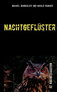 Produktbild: Nachtgefl&uuml;ster
