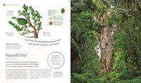 Bäume - Eine Natur- und Kulturgeschichte