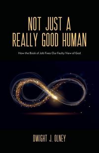 Produktbild: Not Just a Really Good Human: How the Book of Job Fixes Our Faulty View of God