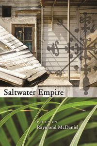 Produktbild: Saltwater Empire