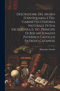 Produktbild: Descrizione Del Museo D'antiquaria E Del Gabinetto D'istoria Naturale Di Sua Excellenza Il Sig. Principe Di Biscari Ignazio Paternlo Castello Patrizio