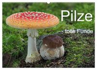 Produktbild: Pilze - tolle Funde (Wandkalender 2026 DIN A2 quer), CALVENDO Monatskalender