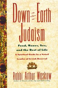 Produktbild: Down-To-Earth Judaism