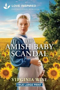 Produktbild: The Amish Baby Scandal