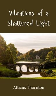 Produktbild: Vibrations of a Shattered Light