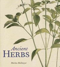 Produktbild: Ancient Herbs