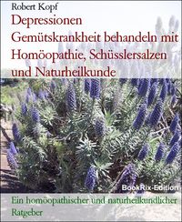 Produktbild: Depressionen Gem&uuml;tskrankheit behandeln mit Hom&ouml;opathie, Sch&uuml;sslersalzen und Naturheilkunde