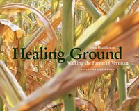 Produktbild: Healing Ground