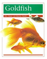 Produktbild: Goldfish