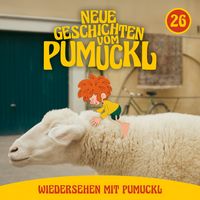 Produktbild: 26: Wiedersehen mit Pumuckl (Neue Geschichten vom Pumuckl)