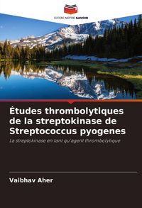 Produktbild: &Eacute;tudes thrombolytiques de la streptokinase de Streptococcus pyogenes