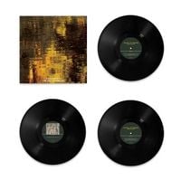 Produktbild: The Will Of Tongues