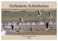 Produktbild: Gefiederte Sch&ouml;nheiten - Wildg&auml;nse in Norddeutschland (Wandkalender 2026 DIN A3 quer), CALVENDO Monatskalender