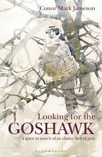 Produktbild: Looking for the Goshawk
