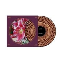 Produktbild: Coles Corner(20th Anniversary Ltd.Edition)