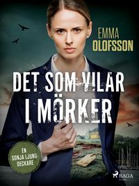 Produktbild: Det som vilar i m&ouml;rker