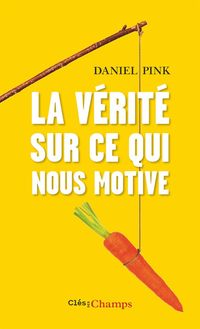 Produktbild: Pink, D: V&eacute;rit&eacute; sur ce qui nous motive