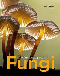 Produktbild: The Fascinating World of Fungi