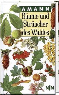 Bild vom Artikel Bäume und Sträucher des Waldes vom Autor Gottfried Amann