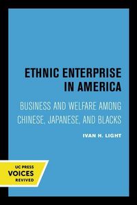 Produktbild: Light, I: Ethnic Enterprise in America