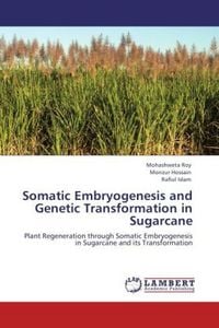 Produktbild: Roy, M: Somatic Embryogenesis and Genetic Transformation in
