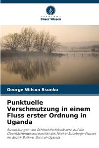 Produktbild: Punktuelle Verschmutzung in einem Fluss erster Ordnung in Uganda