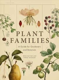 Produktbild: Plant Families