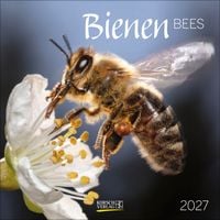 Produktbild Bienen 2027