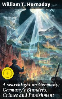 Produktbild: A searchlight on Germany: Germany's Blunders, Crimes and Punishment