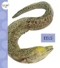 Produktbild: Eels