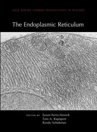 Produktbild: Endoplasmic Reticulum