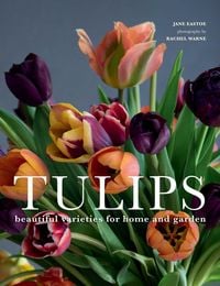 Produktbild: Tulips